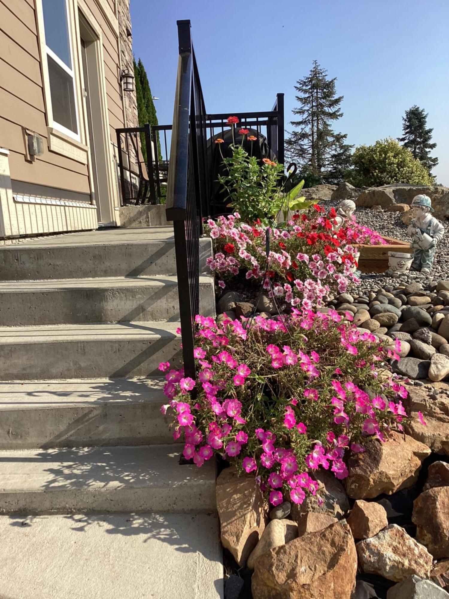 Mountain Retreat 3 Bedroom Garden House Near Heritage Park, Coliseum , Hwy 1, Fishing, Cultus Lake Chilliwack Eksteriør billede